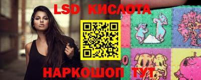 стаф Новокубанск