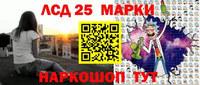 стаф Новокубанск
