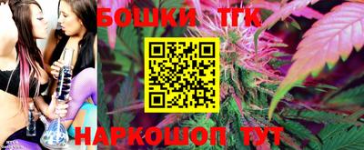 стаф Новокубанск