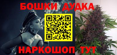 стаф Новокубанск