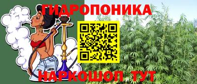 стаф Новокубанск