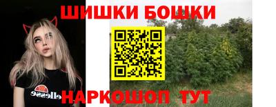 стаф Новокубанск