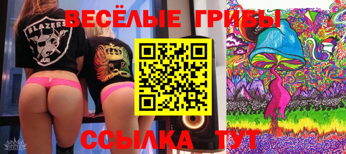 Псилоцибиновые грибы GOLDEN TEACHER Серпухов
