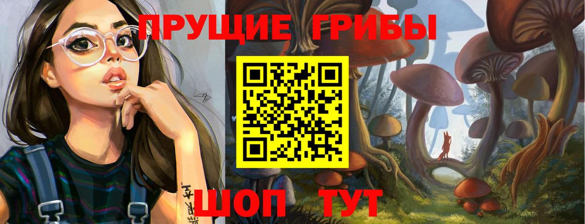 Галлюциногенные грибы Cubensis  Вход с VPN  Серпухов 